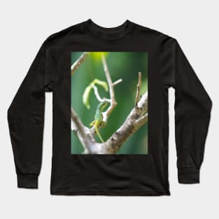 Caribbean Lizard Long Sleeve T-Shirt